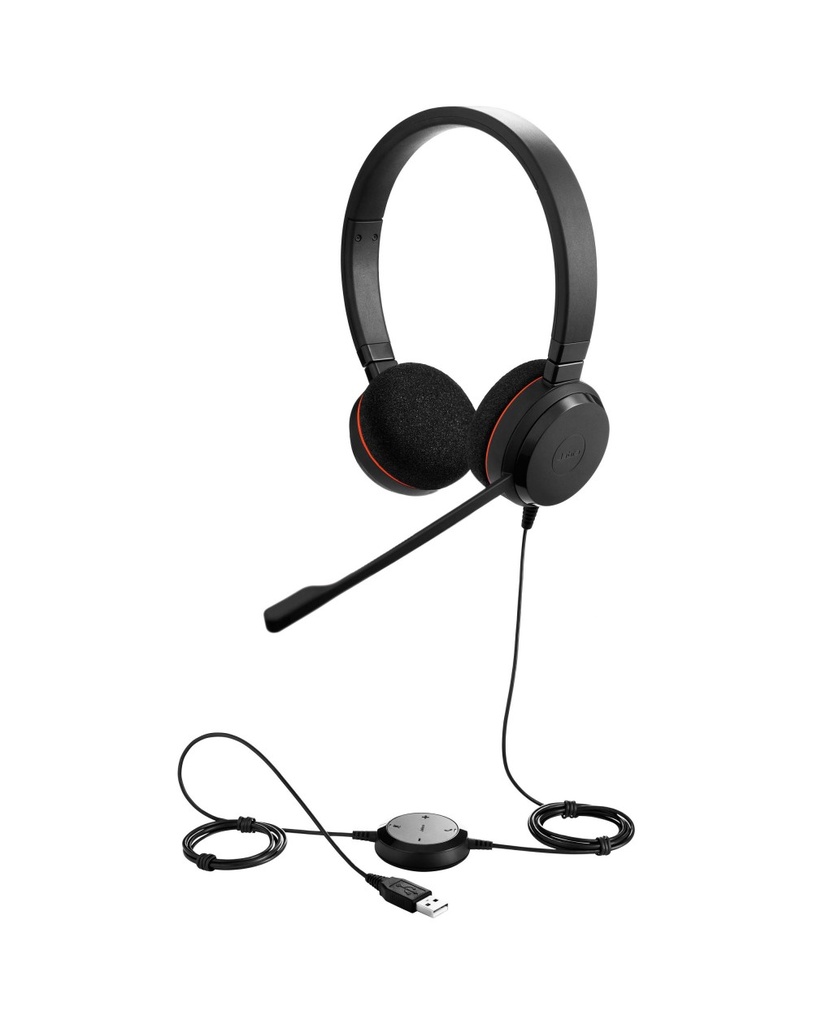 Micro-casque Jabra Evolve 20 MS Duo USB