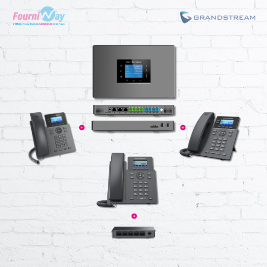 Pack Standard Téléphonie IP (VoiP) - Basic