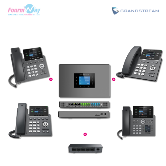 Pack Standard Téléphonie IP (VoiP) - Premium